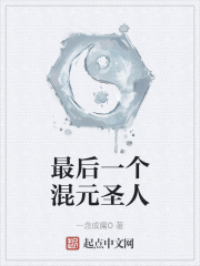 《最后一个混元圣人》