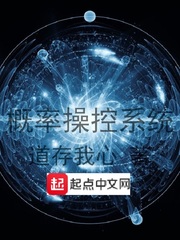 《概率操控系统》