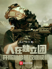 《人在独立团，开局融合燕双鹰模板》