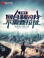《只打回合制的我不需要拉扯》