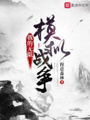 《我的无限模拟战争》
