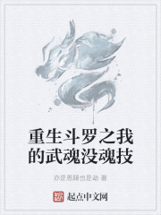 《重生斗罗之我的武魂没魂技》