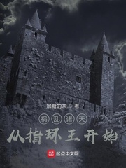 《祸乱诸天从指环王开始》