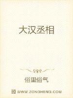 《大汉丞相》