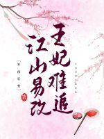 《江山易改王妃难追》