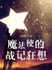 《魔法使的战记狂想》