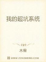 《我的超坑系统》