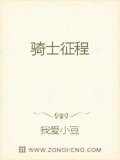 《骑士征程》