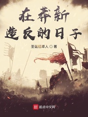 《在莽新造反的日子》