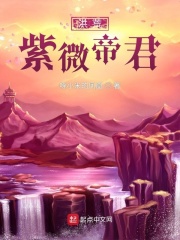 《洪荒紫微帝君》
