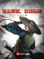 《岳飞再世，武穆称雄》