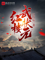 《红楼武状元》