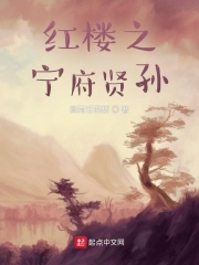 《红楼之宁府贤孙》