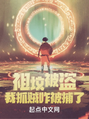 《祖坟被盗，我抓贼咋犯法了？》