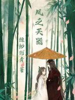 《风之天器》