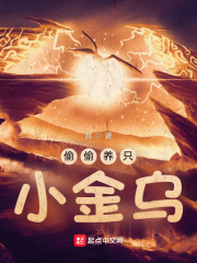 《偷偷养只小金乌》