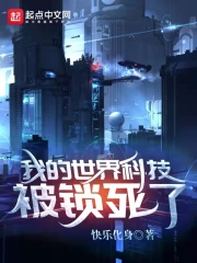 《我的世界科技被锁死了》