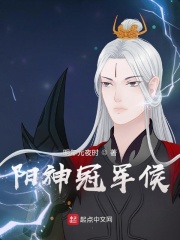 《阳神冠军侯》