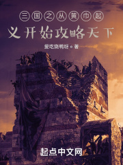 《三国之从黄巾起义开始攻略天下》