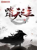 《踏天之主》