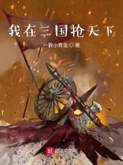 《我在三国抢天下》