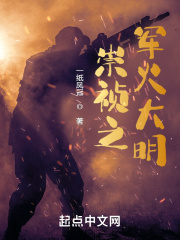 《崇祯之军火大明》