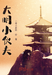 《大明小伙夫》