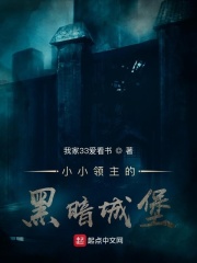 《小小领主的黑暗城堡》
