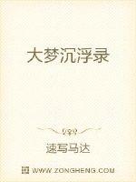 《大梦沉浮录》
