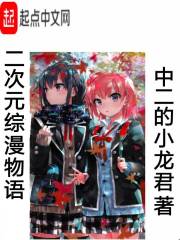 《二次元综漫物语》