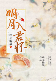 《明月入君怀》