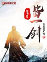 《苍穹皆一剑》