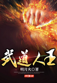 《武道人王》