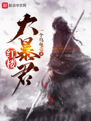 《红楼大暴君》