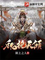 《魏挽天倾》