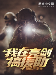 《我在亮剑搞援助》