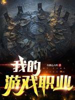 《我的游戏职业》