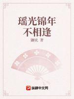 《瑶光锦年不相逢》