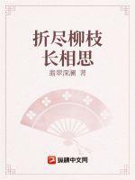 《折尽柳枝长相思》