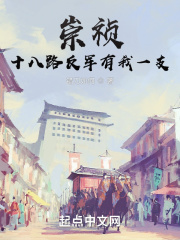 《崇祯：十八路反军有我一支》