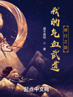 《我的气血武道修行之路》