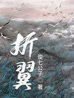 《折断之翼》