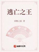 《逃亡之王》