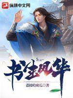 《书生风华》