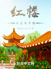 《红楼从辽东开始》