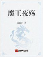 《魔王夜殇》