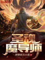 《圣魂魔导师》