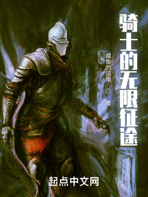 《骑士的无限征途》