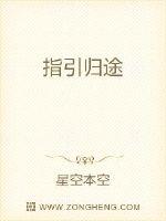 《指引归途》