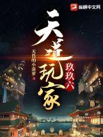 《天道玩家玖玖六》